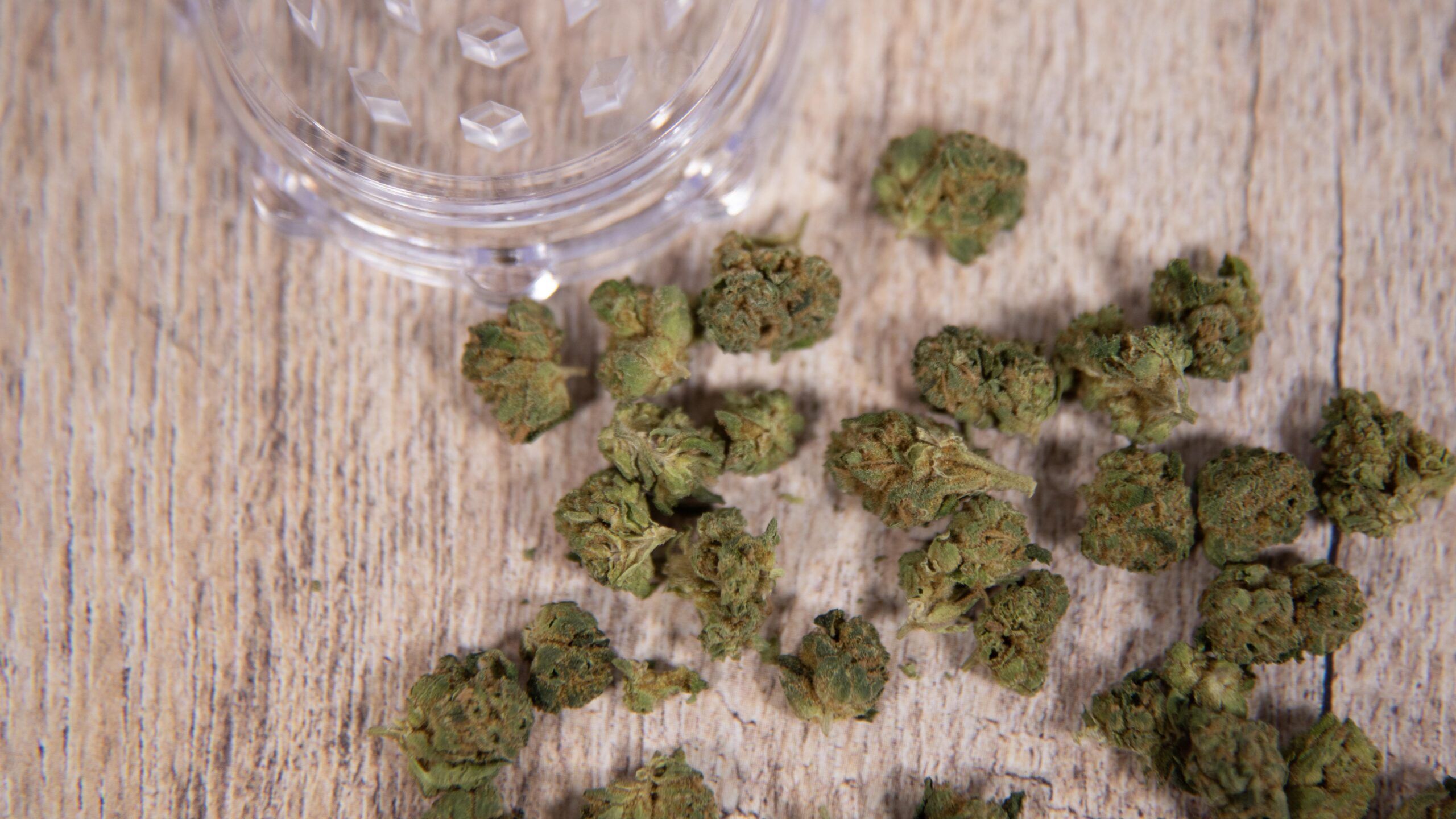 Couch to Cannabis: Is Convenience Making Us Culturally Lazy?